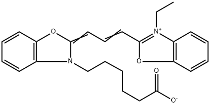 CY2 Structure