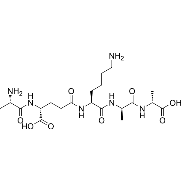 Ala-D-γ-Glu-Lys-D-Ala-D-Ala Structure