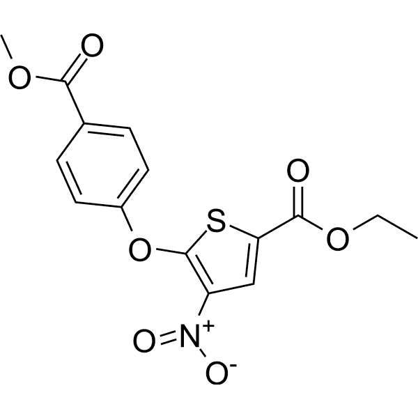 Wu-5 Structure