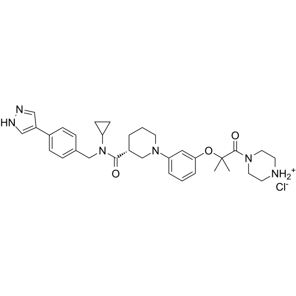 ZW4864  Structure