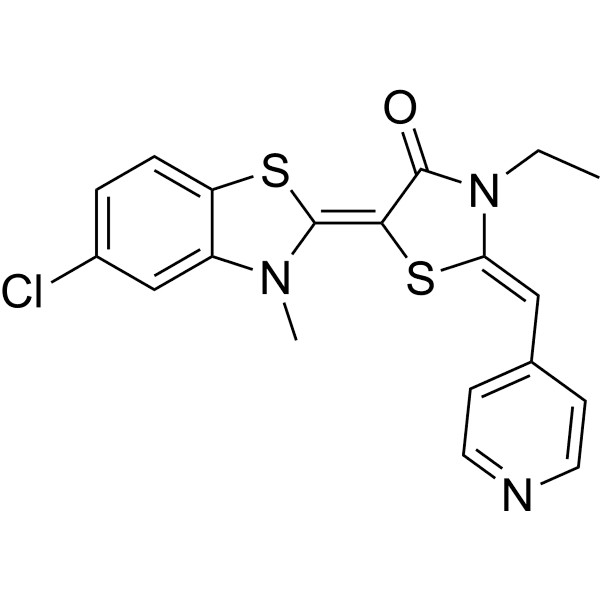 JG-23 Structure