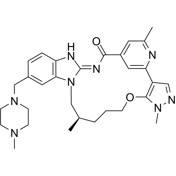 BI-4020 Structure