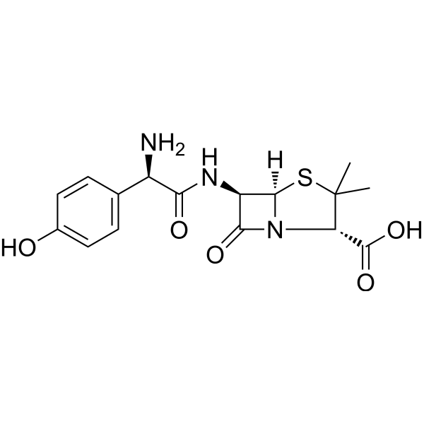 Amoxicillin Structure