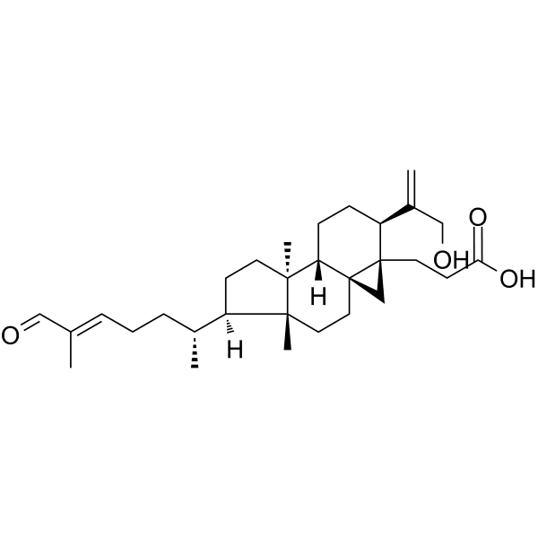 Coronalolic acid Structure