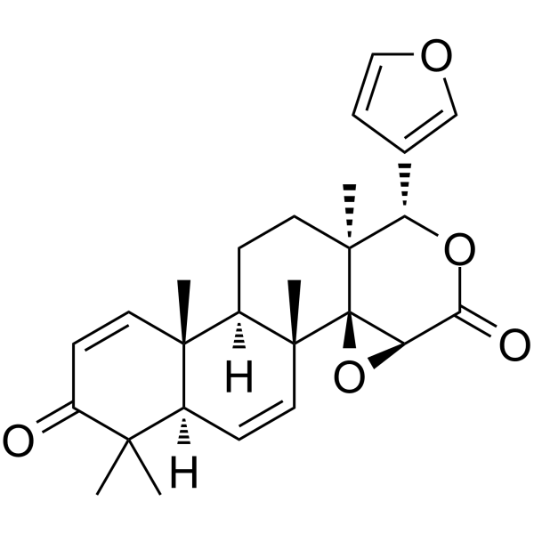 7DG Structure