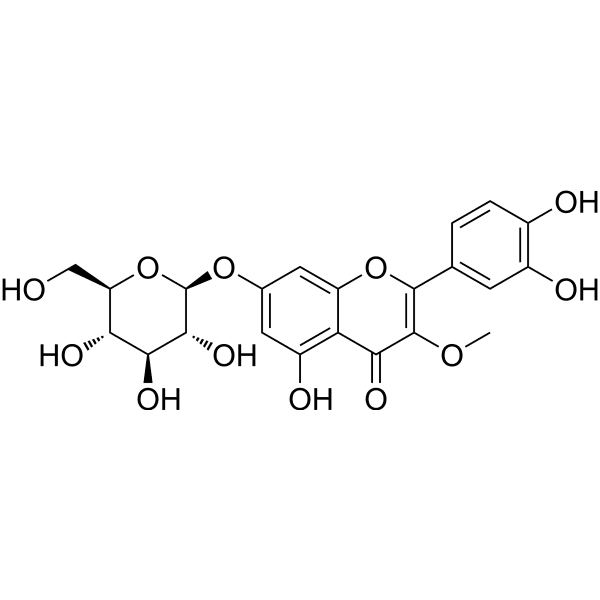 Transilin Structure