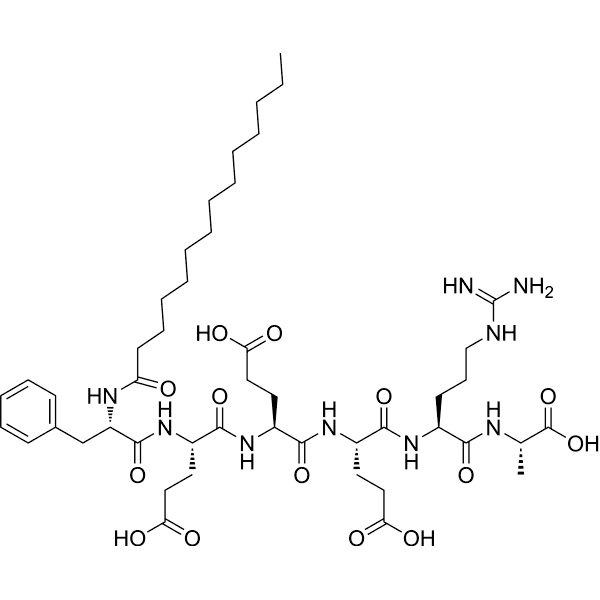 mP6 Structure