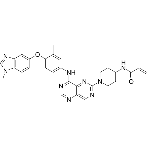 Zongertinib Structure