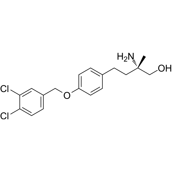 P053 Structure
