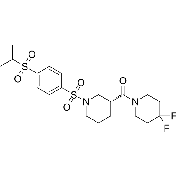 DX3-213B  Structure