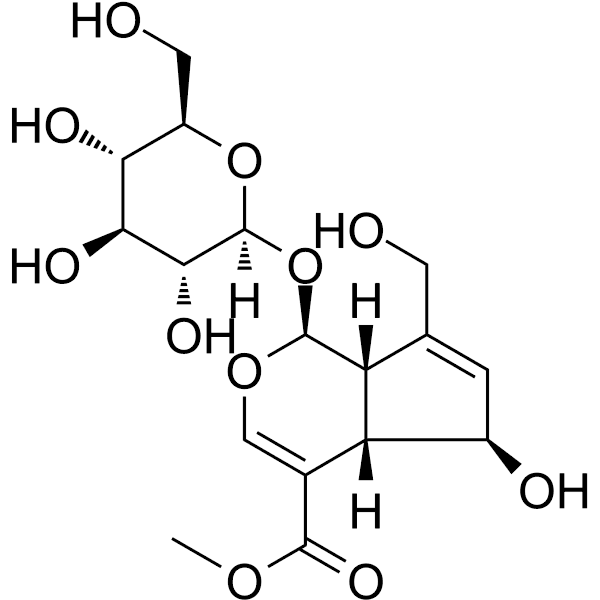 Feretoside Structure