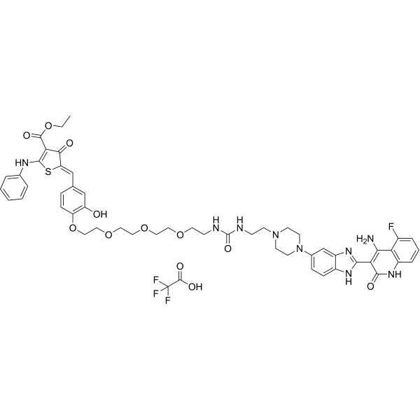 Dovitinib-RIBOTAC TFA Structure