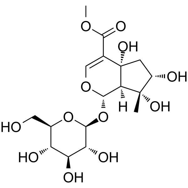 Lamiide Structure