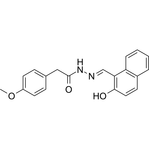 XS-060 Structure