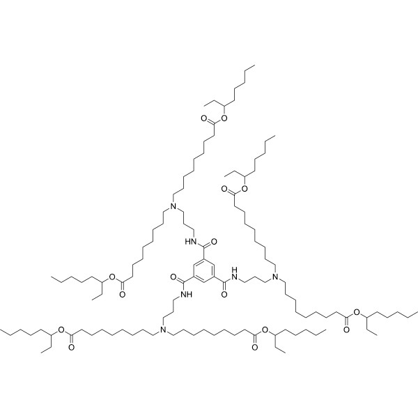 FTT5 LLNs Structure