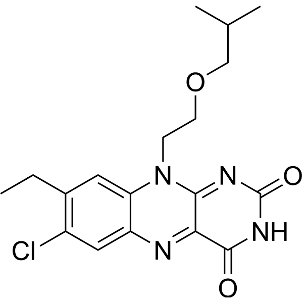 JG-2016 Structure