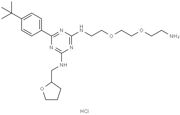 DATPT Structure