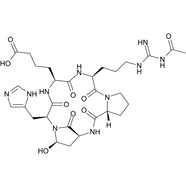 Argadin Structure