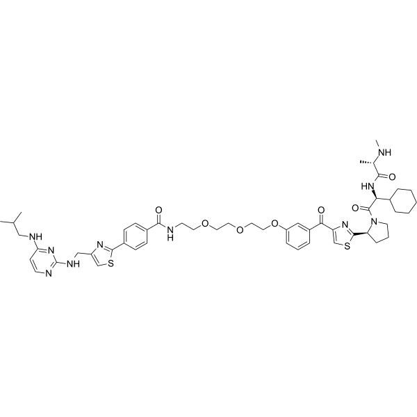 SNIPER(TACC3)-11  Structure