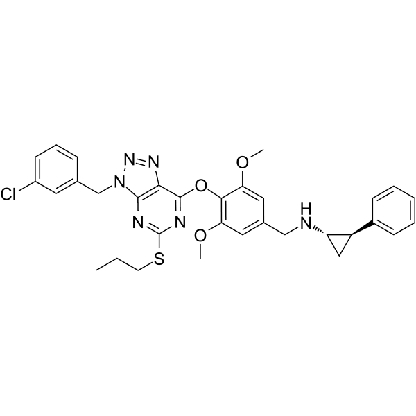 LSD1-IN-25 Structure