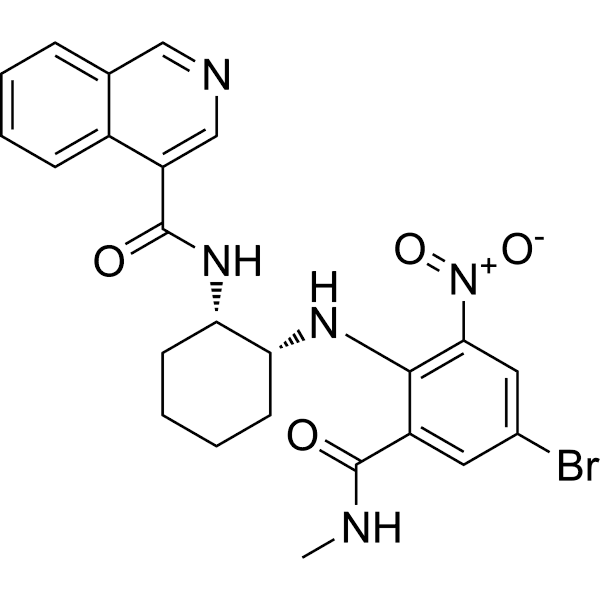 WU-04  Structure