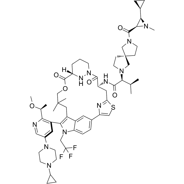 RMC-9945 Structure