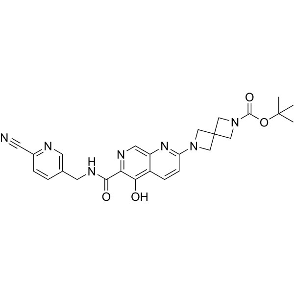 PHD-IN-2 Structure