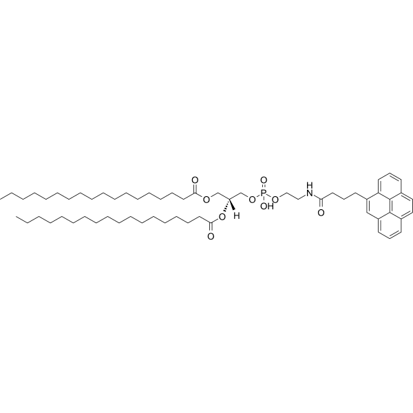 DSPE-Pyrene Structure