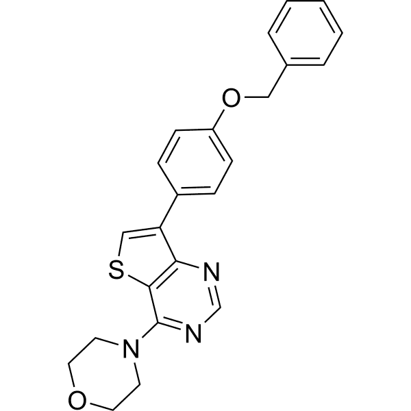 h-NTPDase-IN-5 Structure