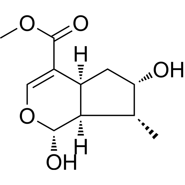 Loganetin Structure
