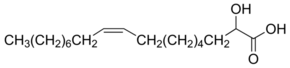 2OHOA Structure