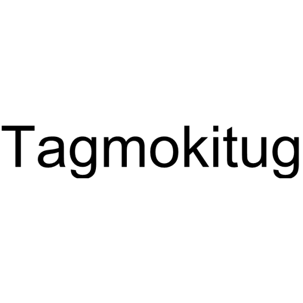 Tagmokitug Structure