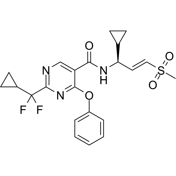 WRN inhibitor 8  Structure