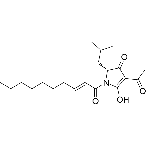 Reutericyclin Structure