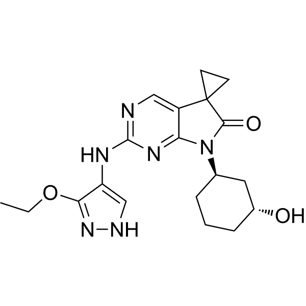 ECI830 Structure