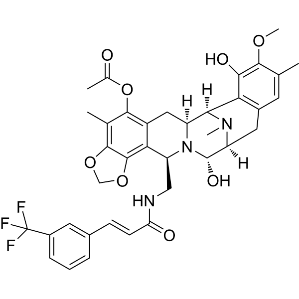 Zalypsis Structure