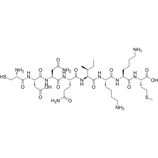 P34cdc2 Kinase Fragment Structure