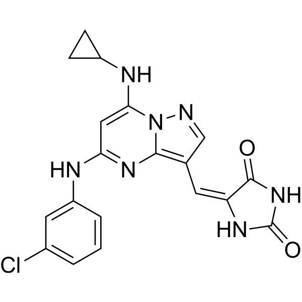 CK2-IN-6 Structure