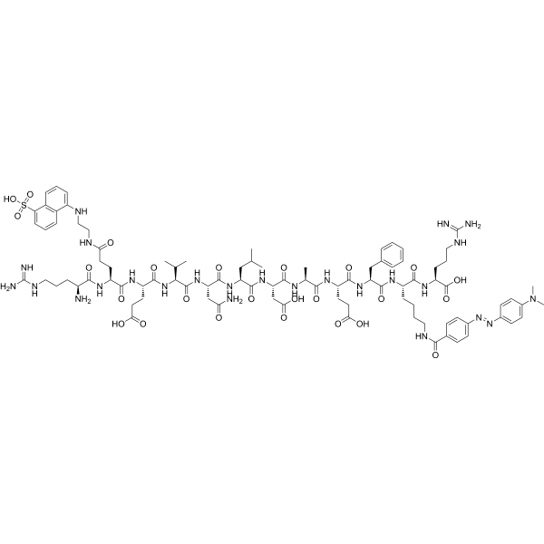 RE(EDANS)EVNLDAEFK(DABCYL)R Structure