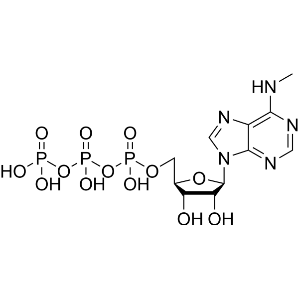 6-Me-ATP Structure