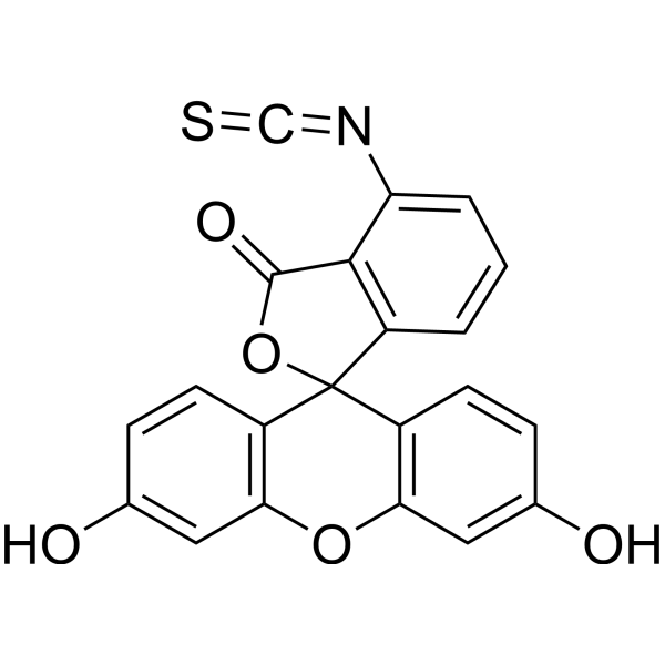 6-FITC Structure