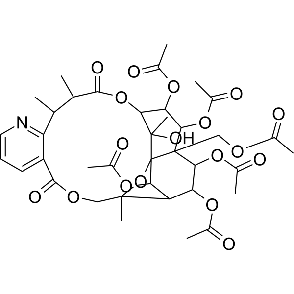 Euonymine Structure
