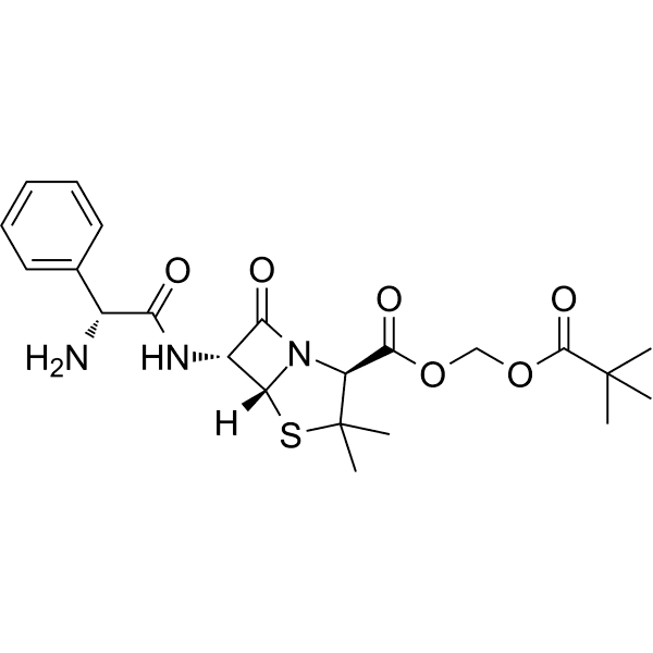 Pivampicillin Structure