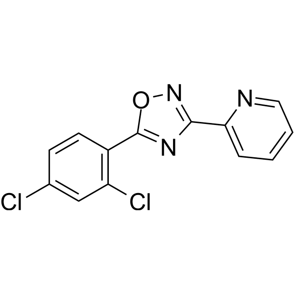 JY-2 Structure