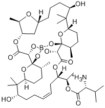 Boromycin Structure