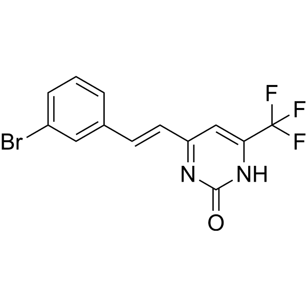 BVFP Structure