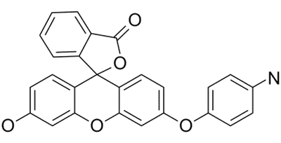 APF Structure