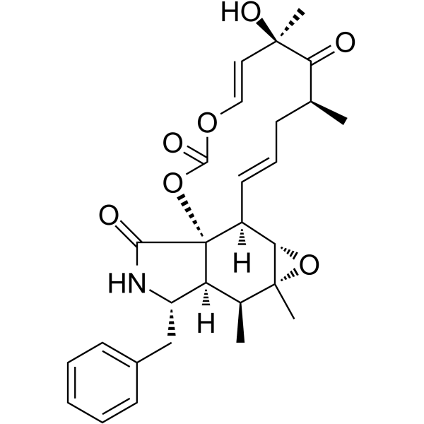 Cytochalasin E Structure