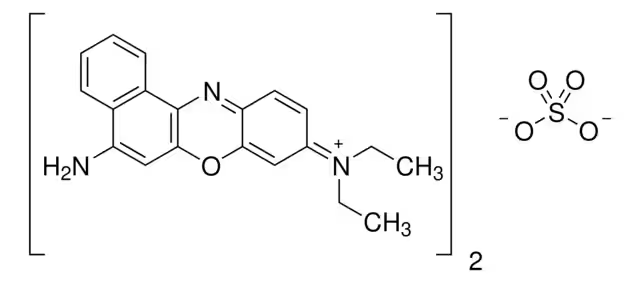 Nile Blue Structure