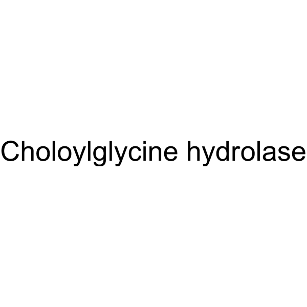 Choloylglycine hydrolase Structure